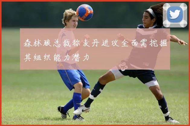 森林狼总裁称麦丹进攻全面需挖掘其组织能力潜力