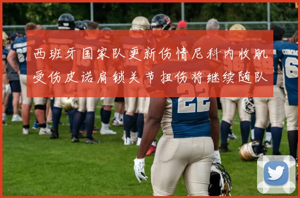 西班牙国家队更新伤情尼科内收肌受伤皮诺肩锁关节扭伤将继续随队训练
